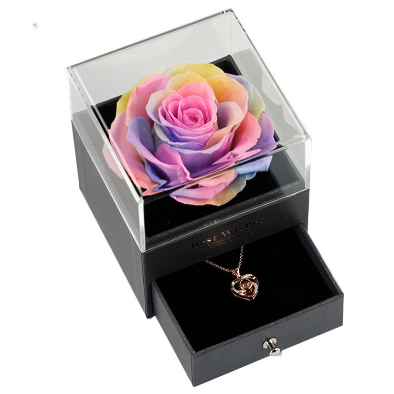 Best Wishes Projection Necklace