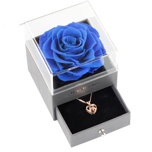 Best Wishes Projection Necklace