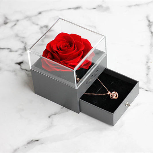Best Wishes Projection Necklace