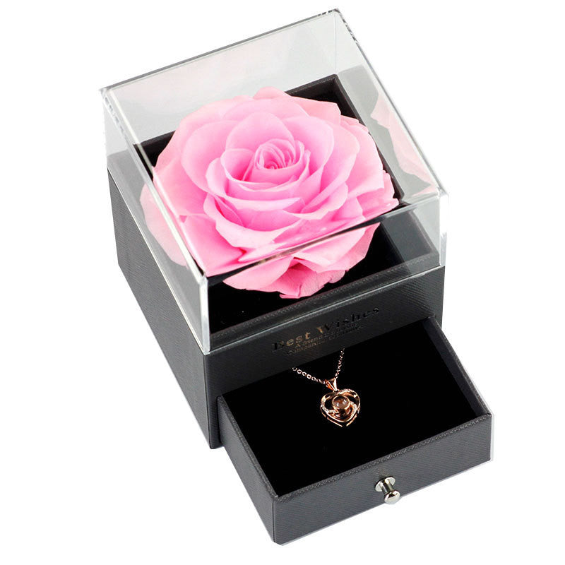 Best Wishes Projection Necklace