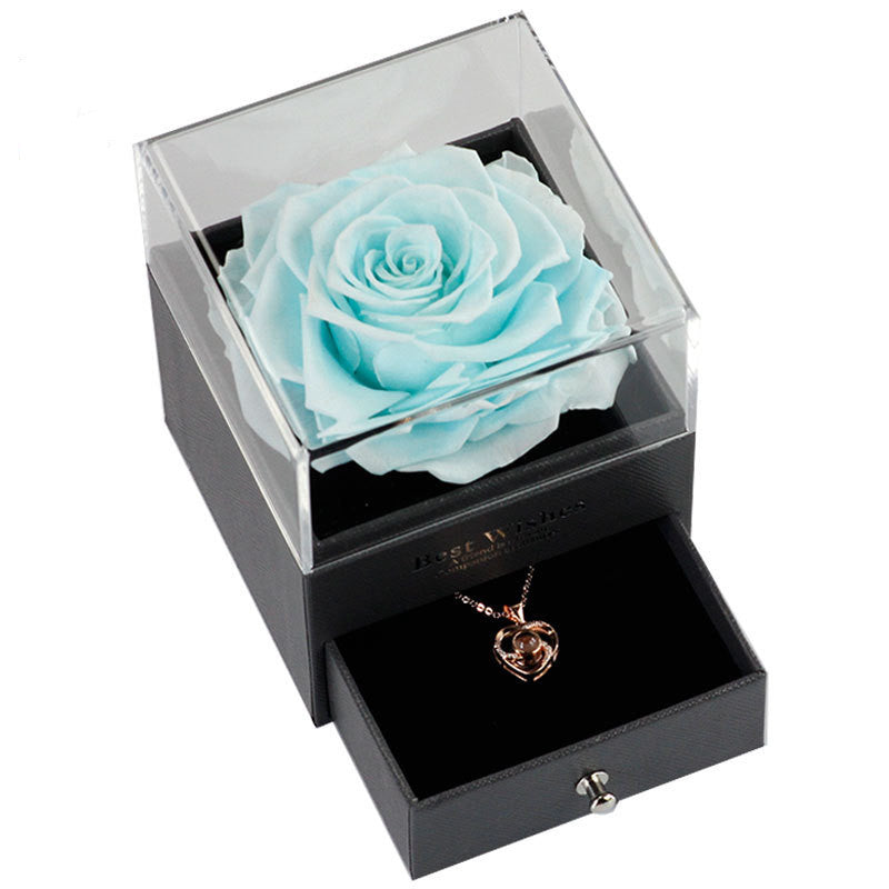 Best Wishes Projection Necklace